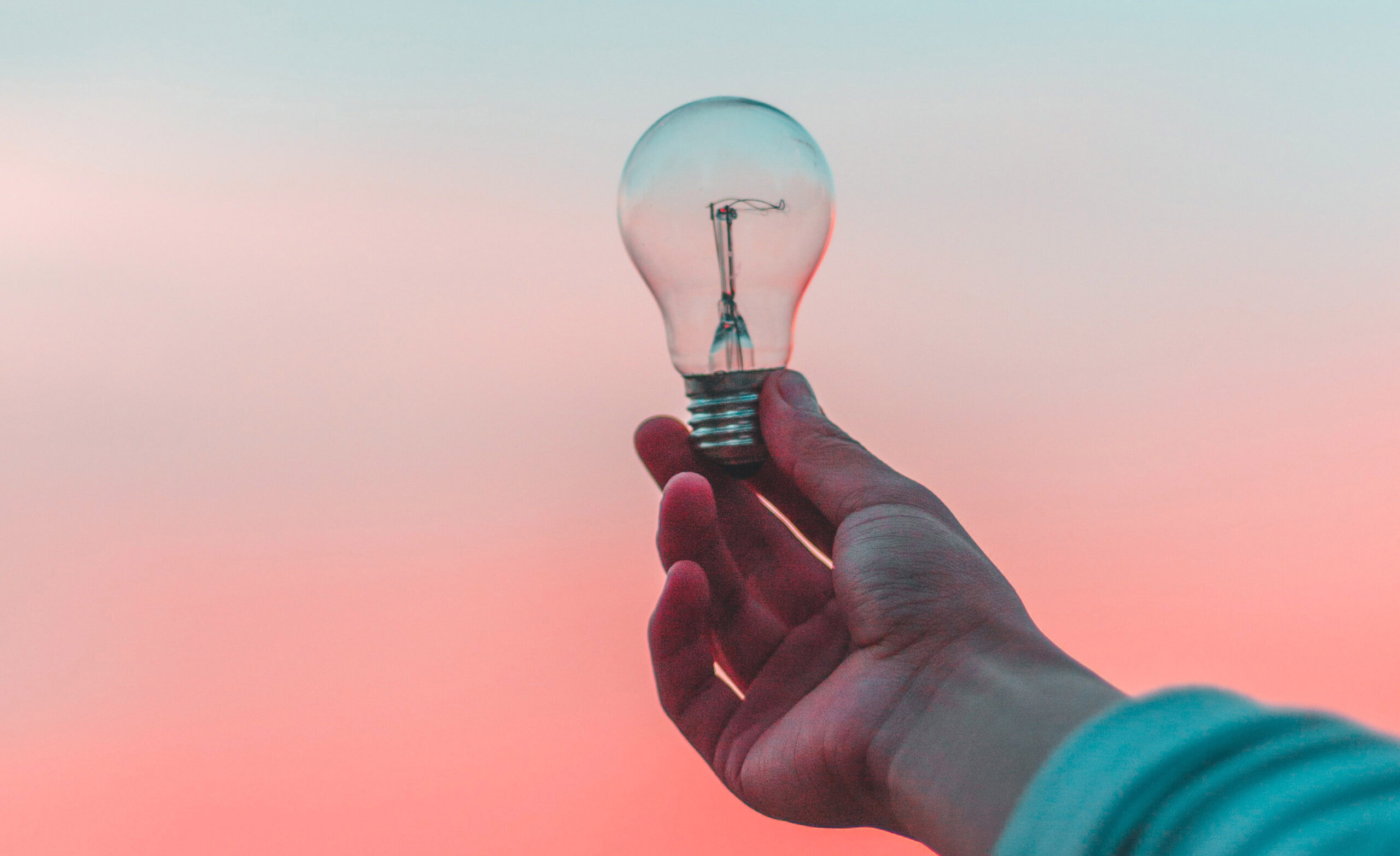 Dall’idea al successo: perché un business plan non basta?