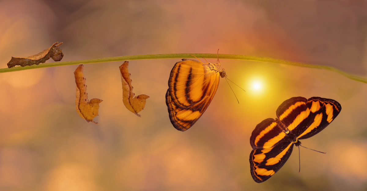 Change Management: gestire il cambiamento